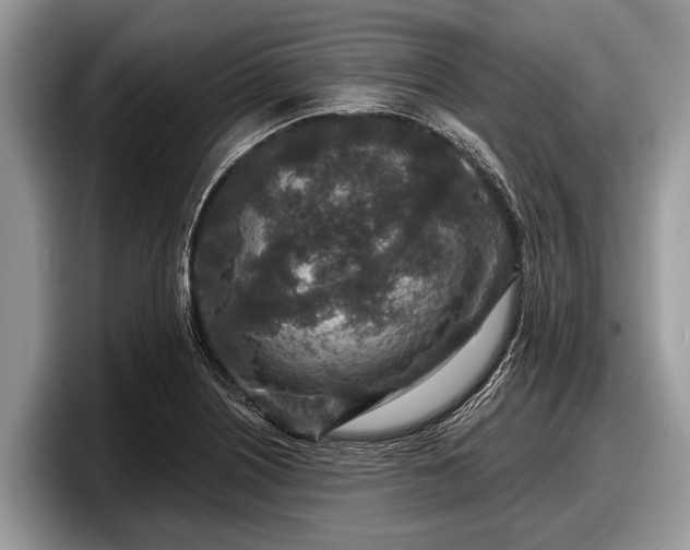 X0000097871226200803211307