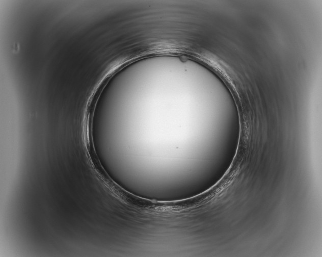 X0000097871227200803211308