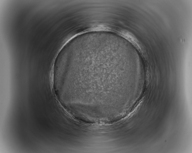 X0000097871228200803211308