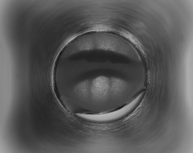 X0000097871229200803211308