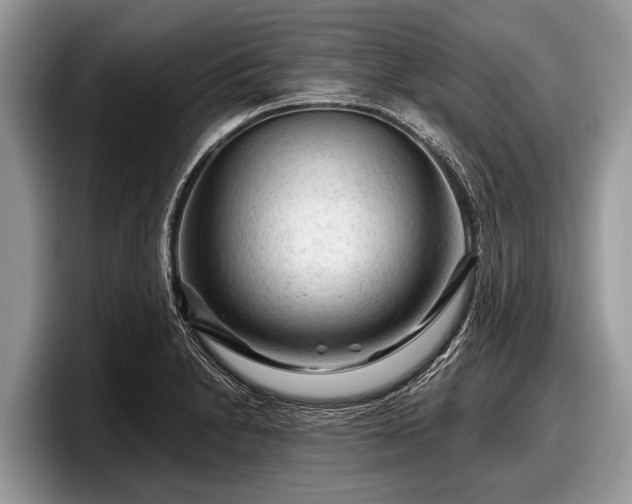 X0000097871230200803211308