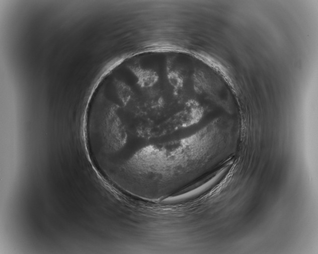 X0000097871231200803211308
