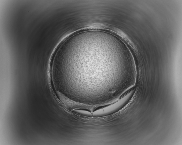 X0000097871232200803211308