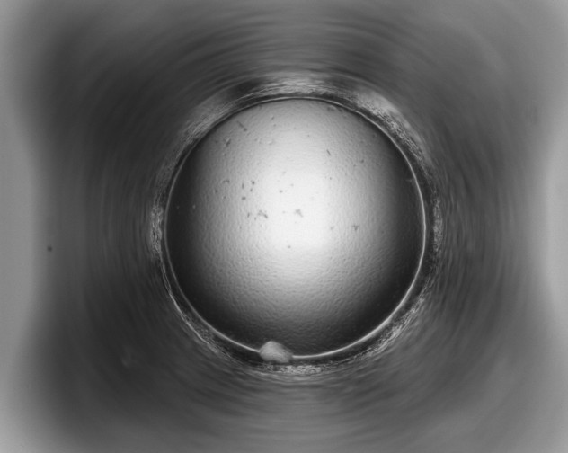 X0000097871233200803211308