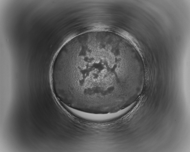 X0000097871235200803211308