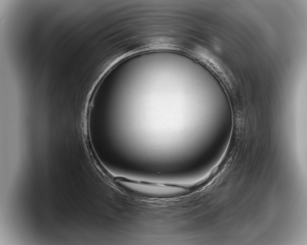 X0000097871236200803211308