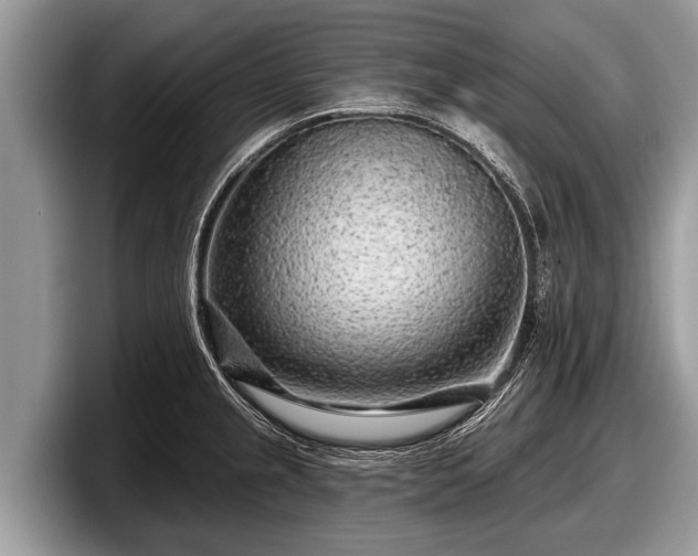 X0000097871237200803211308