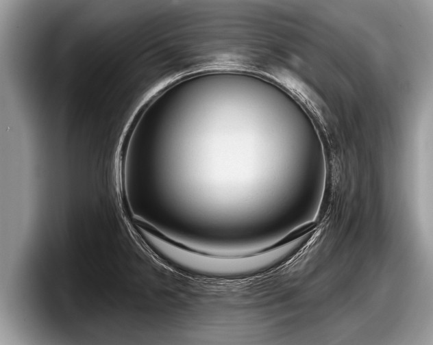 X0000097871238200803211308