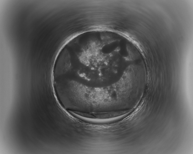 X0000097871239200803211308