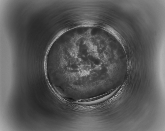 X0000097871243200803211308