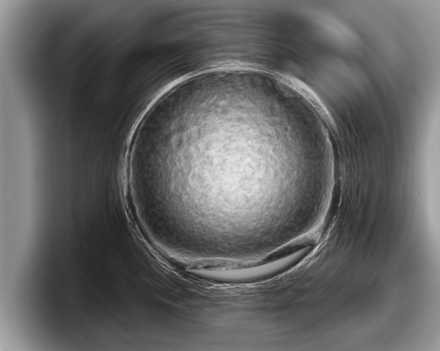 X0000097871244200803211308