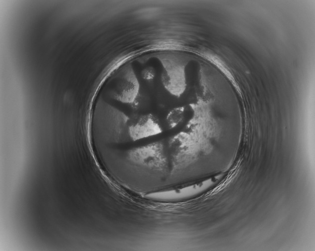 X0000097871245200803211308