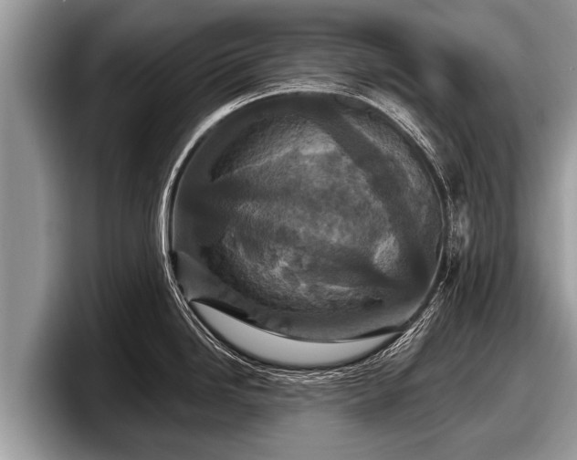 X0000097871246200803211308