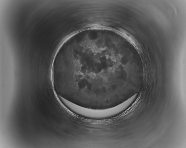 X0000097871247200803211308