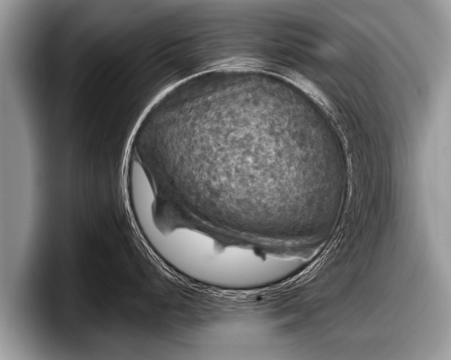 X0000097871248200803211308