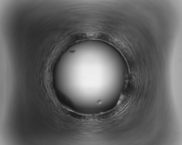 X0000097871249200803211307