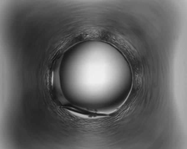 X0000097871250200803211307