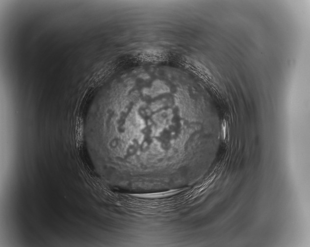 X0000097871251200803211307