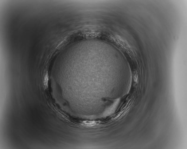 X0000097871252200803211307