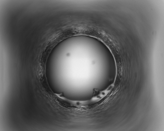 X0000097871253200803211307