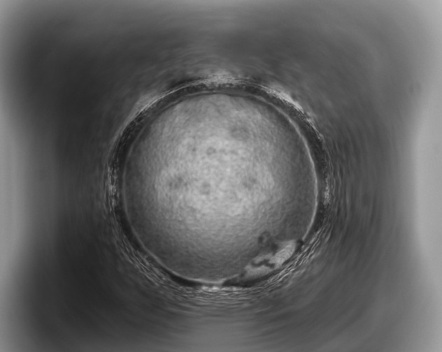 X0000097871255200803211307