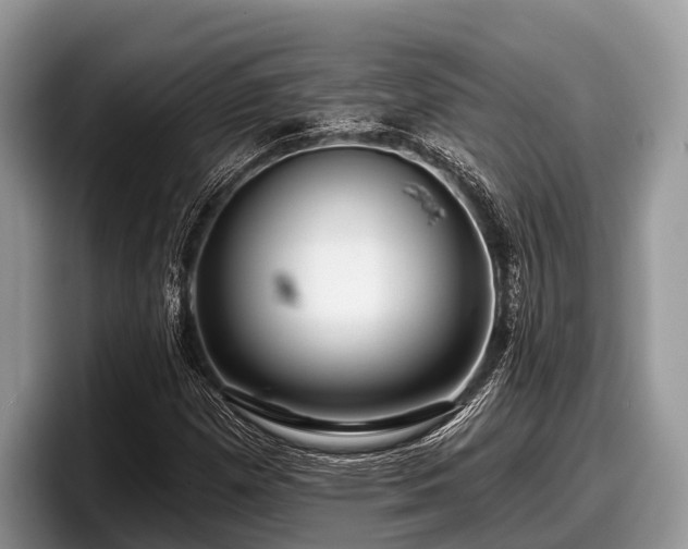 X0000097871257200803211307