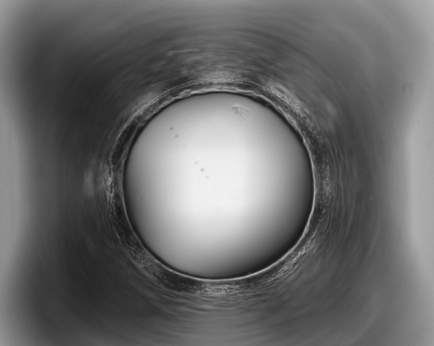 X0000097871258200803211307