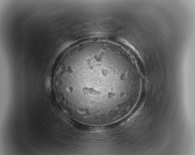 X0000097871259200803211307