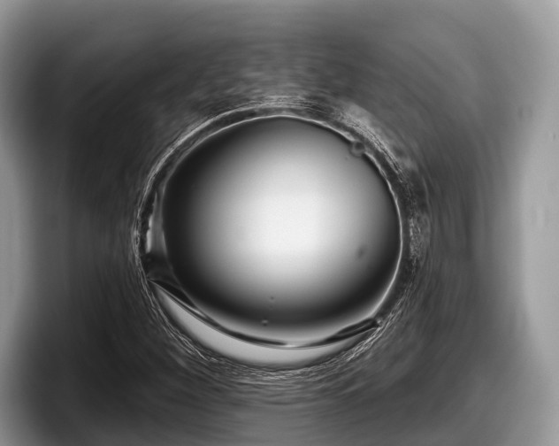 X0000097871260200803211307