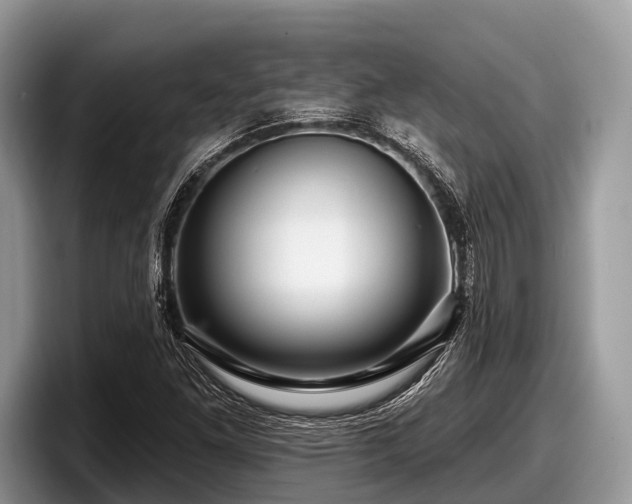 X0000097871261200803211307