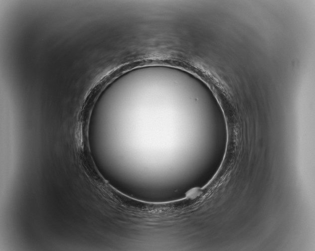 X0000097871262200803211307