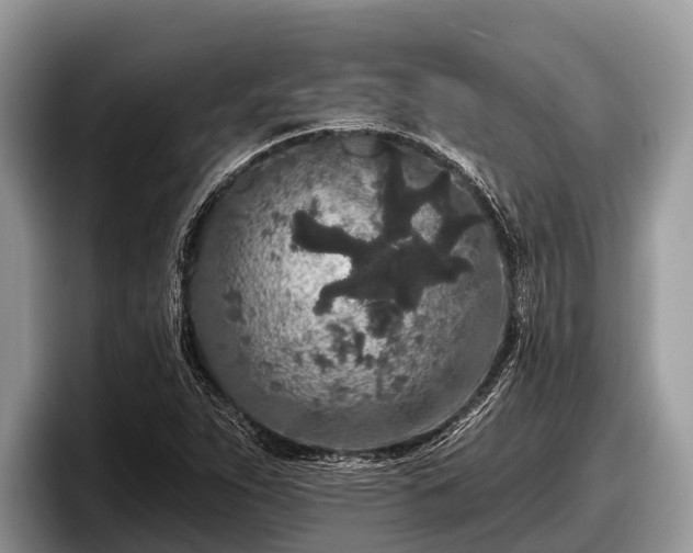 X0000097871263200803211307