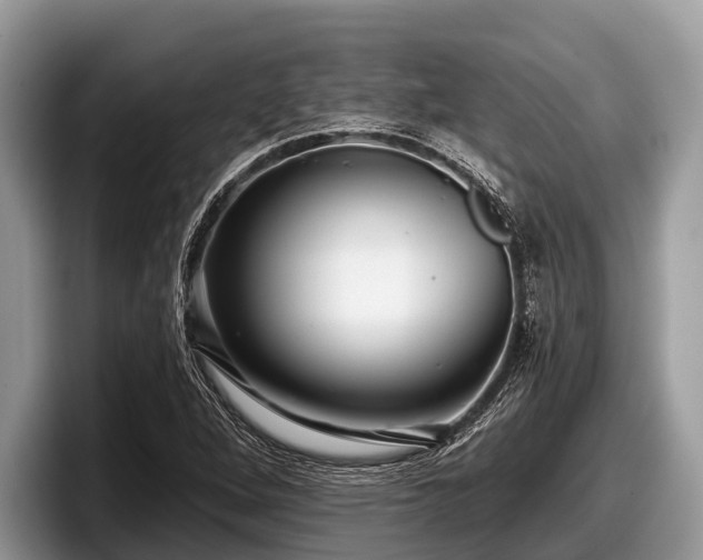 X0000097871264200803211307