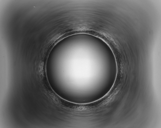 X0000097871265200803211307