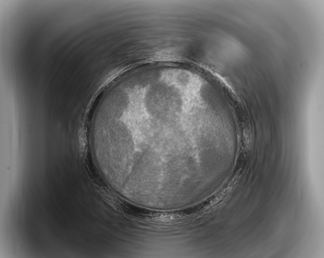 X0000097871266200803211307