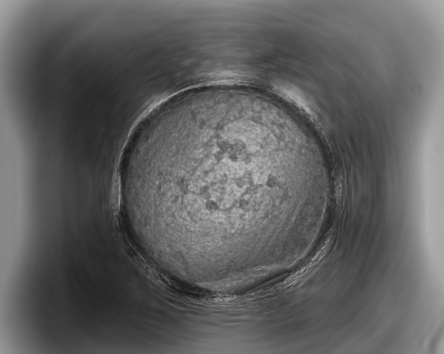 X0000097871267200803211307