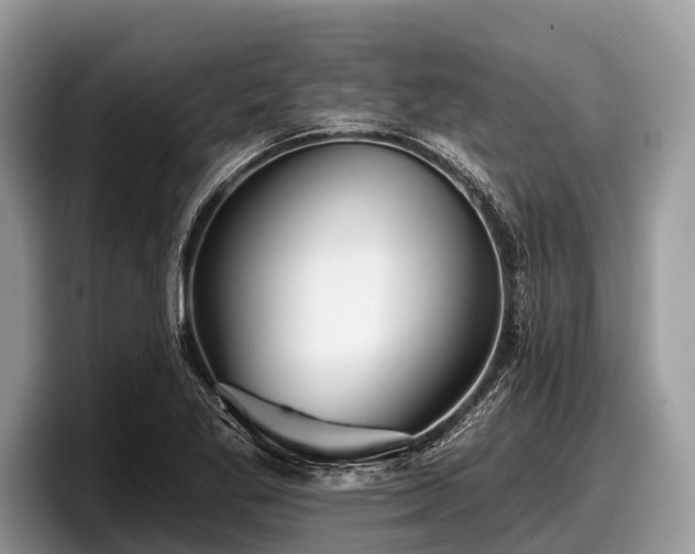 X0000097871269200803211307