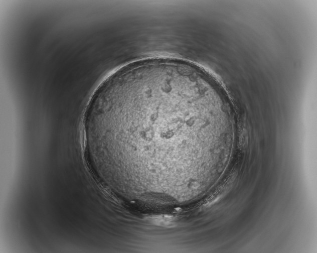 X0000097871271200803211307