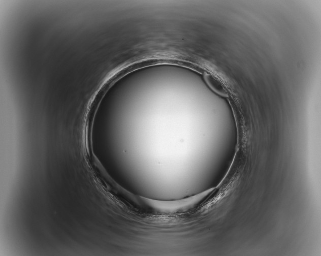 X0000097871272200803211307