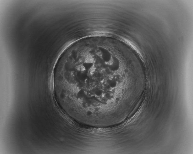 X0000097871275200803211307