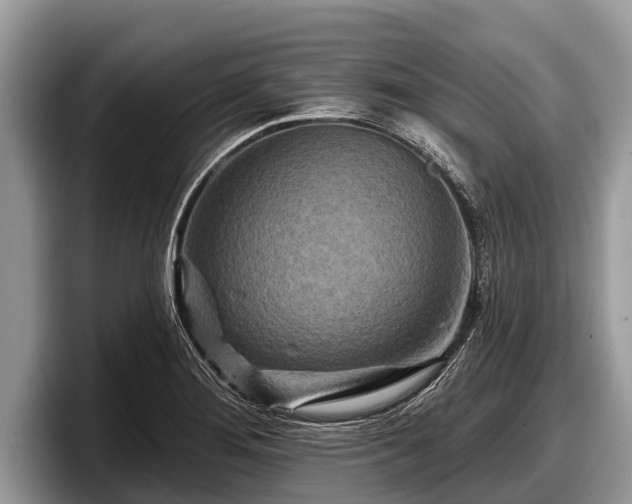 X0000097871276200803211307