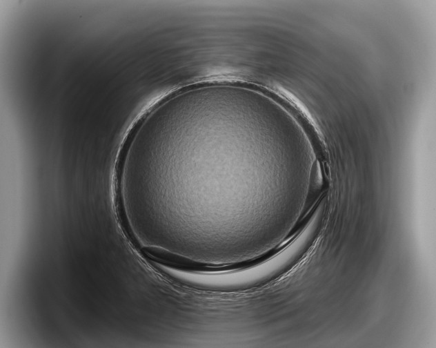 X0000097871277200803211307
