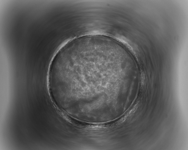 X0000097871278200803211307