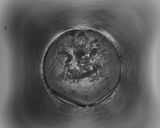 X0000097871279200803211307