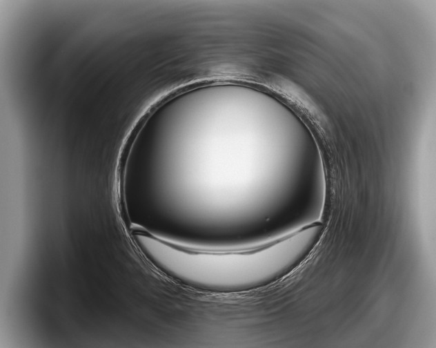 X0000097871280200803211307