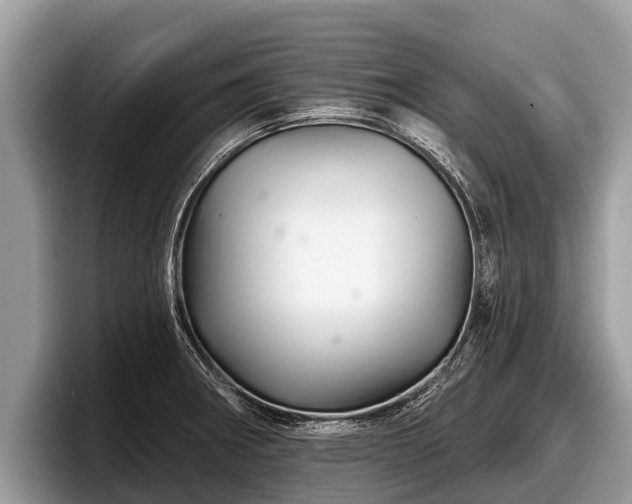 X0000097871282200803211307