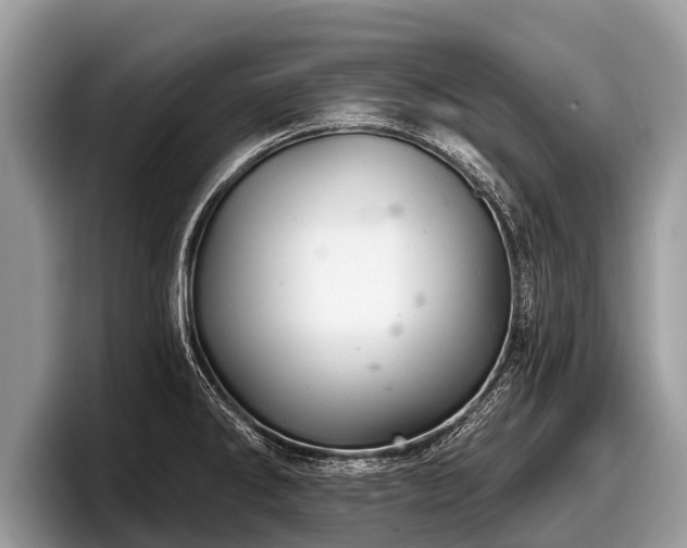 X0000097871286200803211307