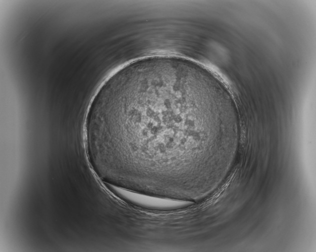 X0000097871287200803211307