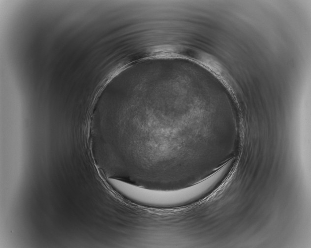 X0000097871289200803211307