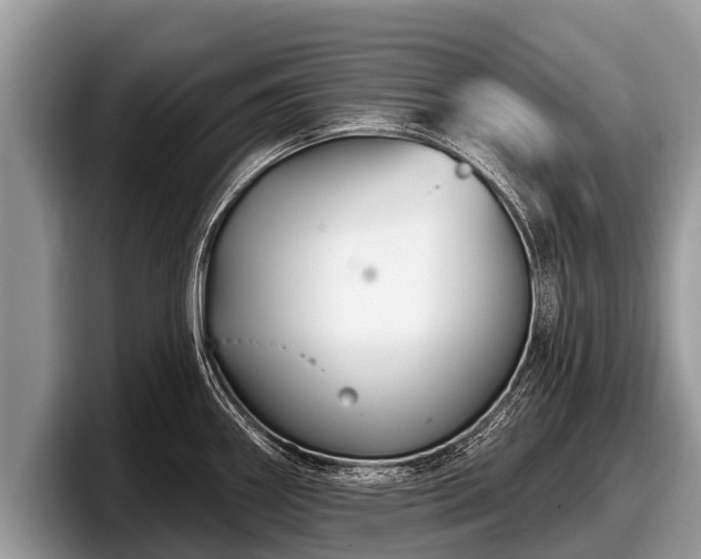 X0000097871290200803211307
